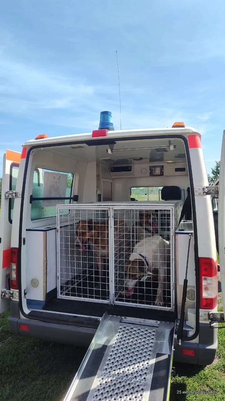 Evacuation, 2023, photo 5 - Xtraverse Animals