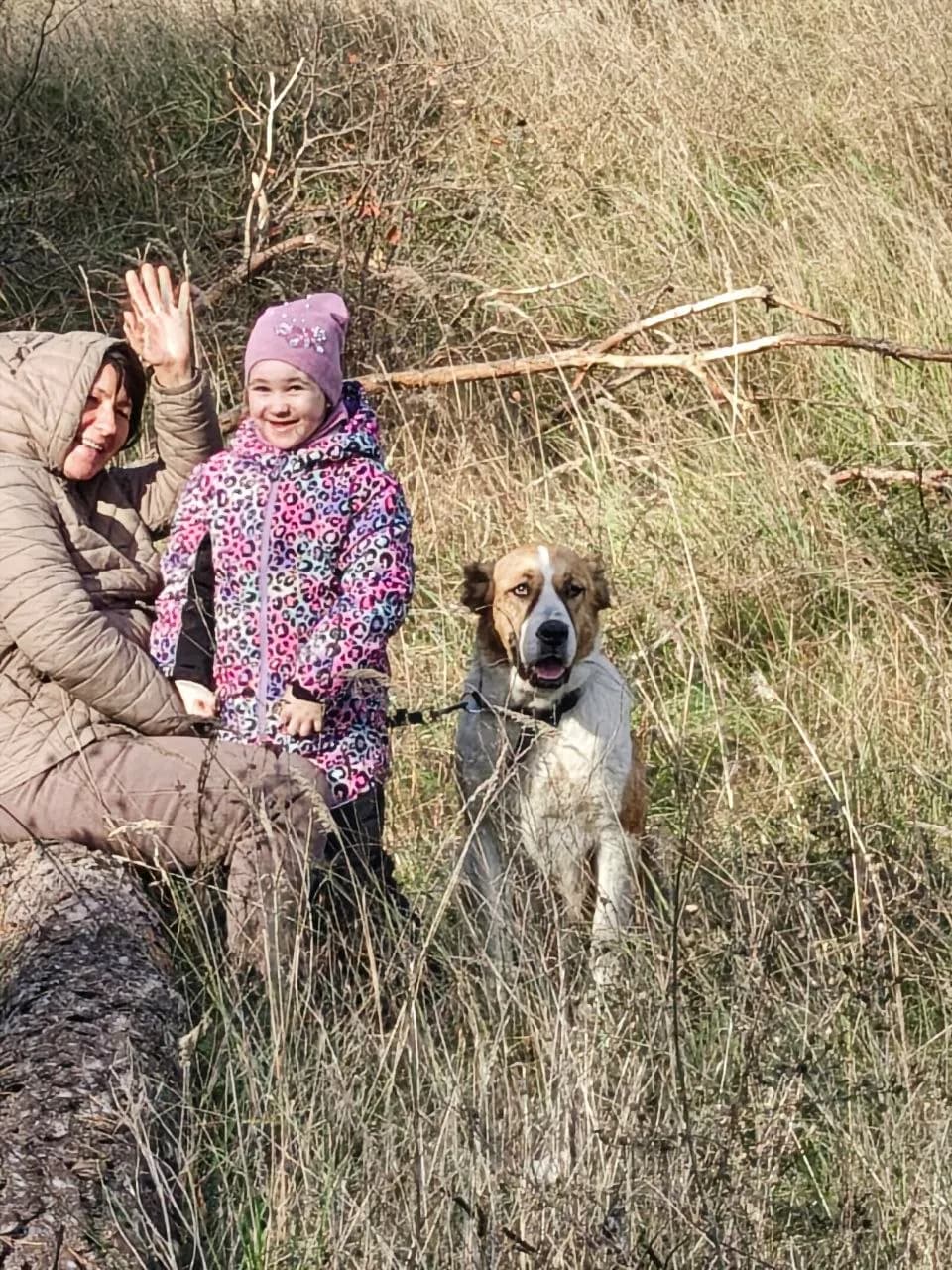 Another canine therapy session, helping patients at the Roshcha sanatorium recover 🐕❤️, photo 1: a woman and a smiling girl in a pink hat waving beside a large white-and-ginger dog on a leash among dry grass - Xtraverse Animals