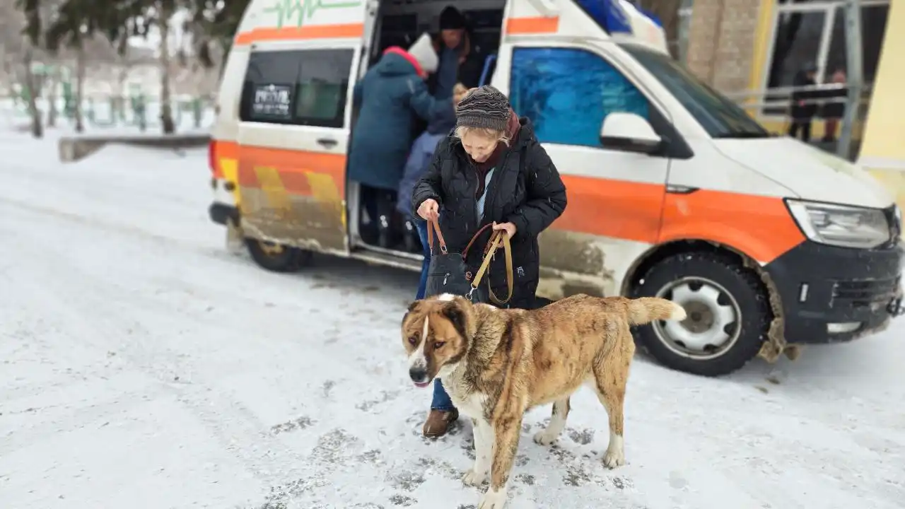 Giving animals a second chance at life, photo 1 - Xtraverse Animals